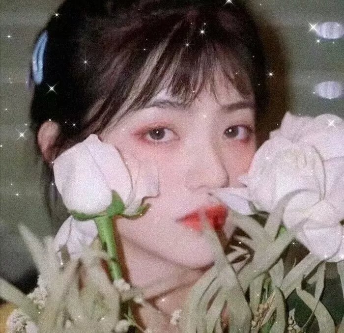 蓝色茉莉
